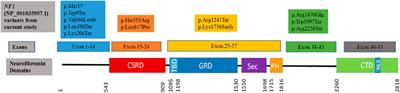 Mutation analysis and clinical profile of South African patients with Neurofibromatosis type 1 (NF1) phenotype